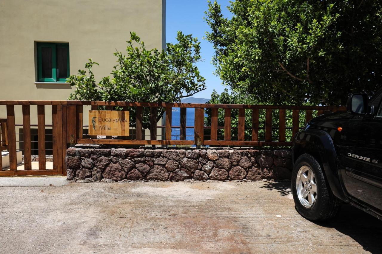 Eucalyptus Villa Aegina Экстерьер фото